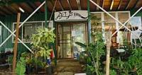 Goat Island Lodge