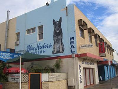 Blue Heelers Tavern
