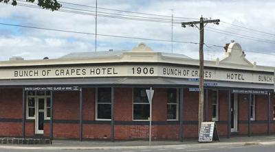Bunch Of Grapes Hotel - image 1