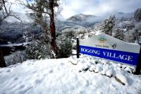 Bogong Jack's Tavern - image 3