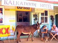 Kalkadoon Hotel