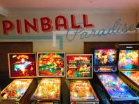 Pinball Paradise - image 1