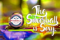 Pinball Paradise - image 2