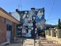 Dog friendly pub - review image 1